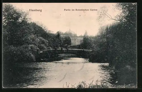 AK Hamburg-St.Pauli, Partie im Botanischen Garten