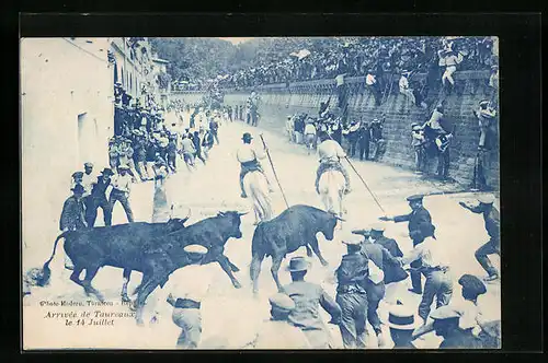 AK Tarascon, Arrivee de Taureaux le 14 Juillet