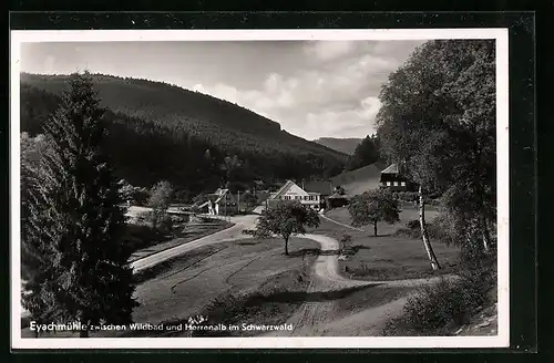 AK Eyachmühle / Schwarzwald, Panorama mit Gasthaus-Pension