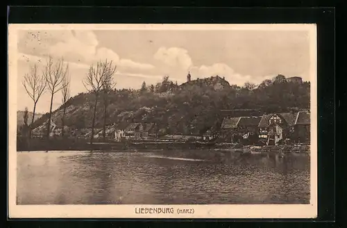 AK Liebenburg / Harz, Panorama