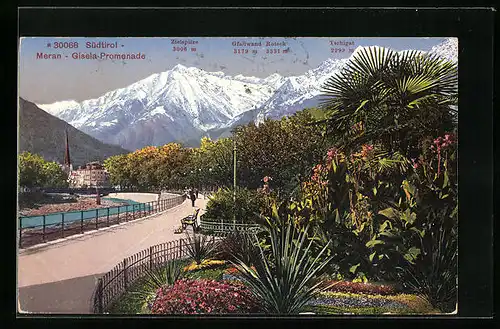 AK Meran, Gisela-Promenade mit Blick zur Zielspitze