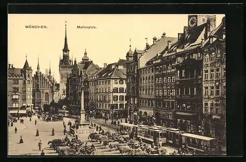 AK München, Strassenbahnverkehr auf dem Marienplatz