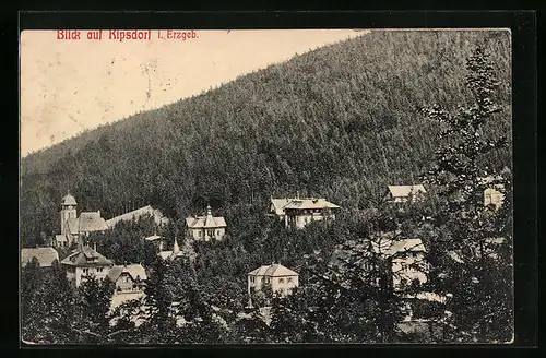 AK Kipsdorf i. Erzgeb., Panorama