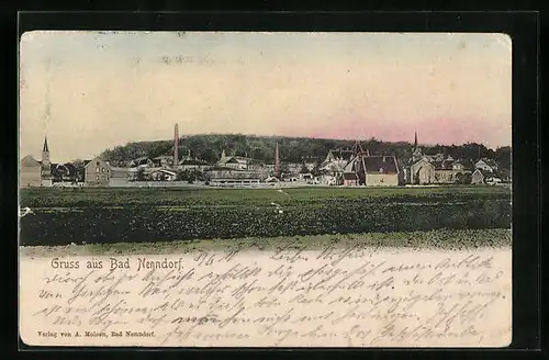 AK Bad Nenndorf, Panorama von der Feldwiese gesehen