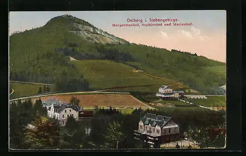AK Oelberg / Siebengebirge, Blick auf Margaretenhof, Sophienhof und Marienhof