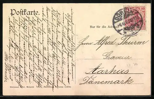 AK Döbeln i. Sa., Totalansicht