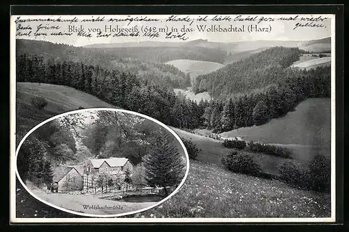 AK Hohegeiss /Harz, Wolfsbachmühle, Blick vom Ort in das Wolfsbachtal
