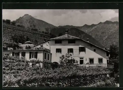 AK Meran-Zenoberg, Erlach Hof