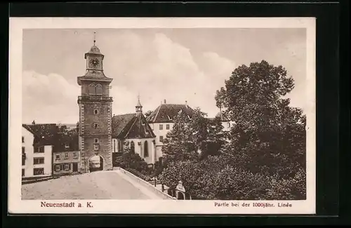 AK Neuenstadt a. K., Partie bei der 1000jähr. Linde