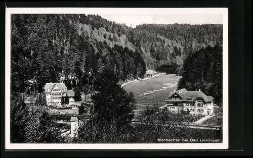 AK Bad Liebenzell, Blick in das Monbachtal