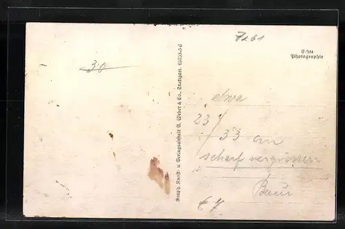 AK Althengstett, Totalansicht vom Heimberg