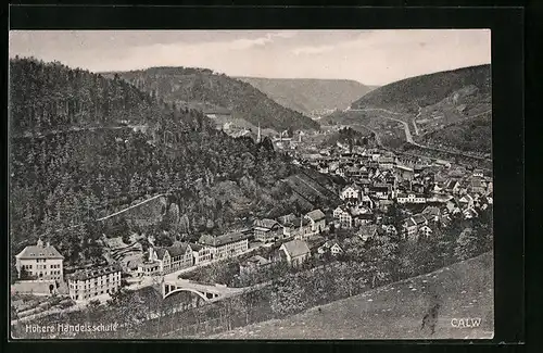AK Calw, Totalansicht mit Höhere Handelsschule