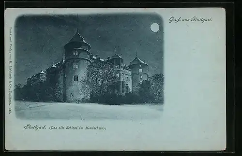 Mondschein-AK Stuttgart, Das alte Schloss