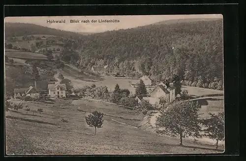 AK Hohwald, Blick nach der Lindenhütte