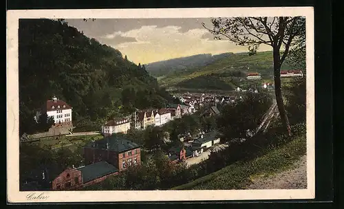 AK Calw, Totalansicht aus der Vogelschau