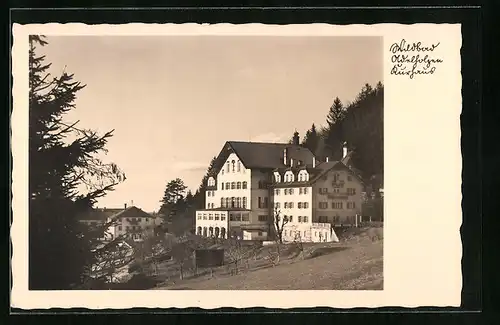AK Wildbad, Blick auf das Kurhaus am Waldrand