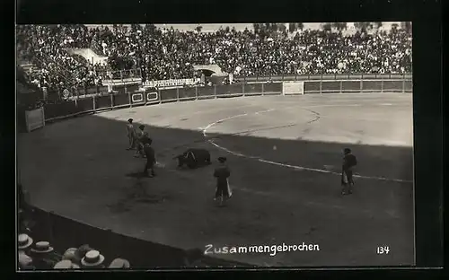 AK Zusammengebrochener Stier beim Stierkampf