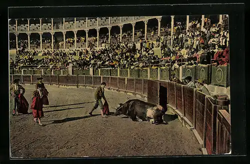 AK Muerte del Toro, Stierkampf