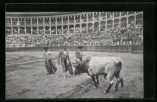AK Estocada, Szene beim Stierkampf