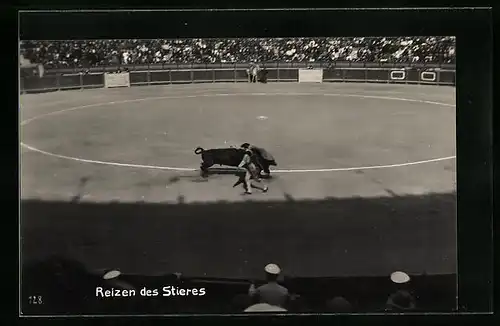 AK Reizen des Stieres durch den Torero beim Stierkampf