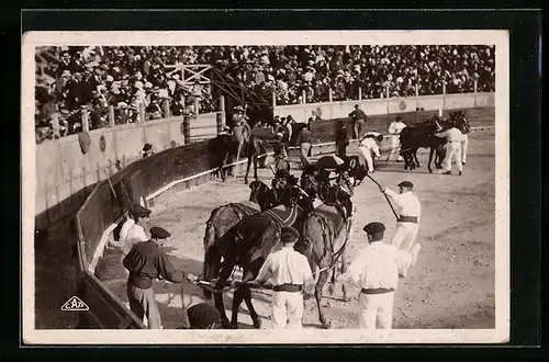 AK Corrida de Toros, El quitar de las victimas, Stierkampf