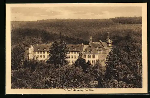 AK Stolberg im Harz, Blick zum Schloss