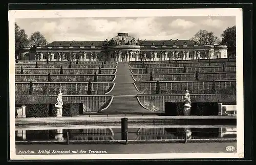 AK Potsdam, Schloss Sanssouci mit den Terrassen