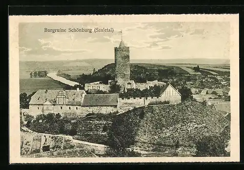 AK Naumburg (Saale), Ortsansicht mit Burgruine Schönburg