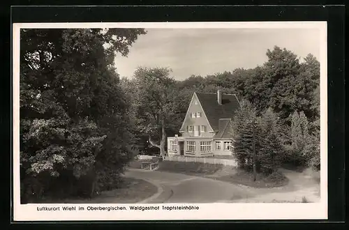 AK Wiehl im Oberbergischen, Waldgasthof Tropfsteinhöhle