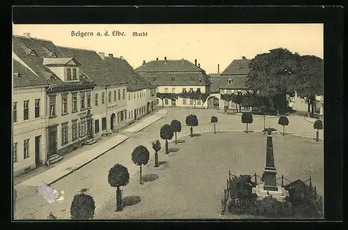 AK Belgern a. d. Elbe, Markt mit Apotheke und Denkmal