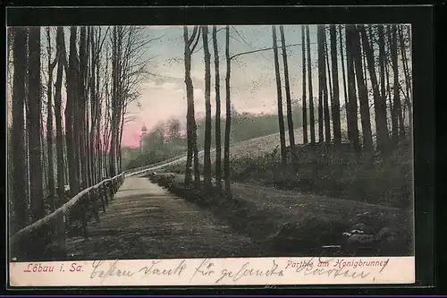 AK Löbau /Sa., Parthie am Honigbrunnen