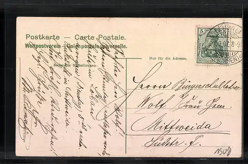 AK Löbau /Sa., Panorama der Stadt