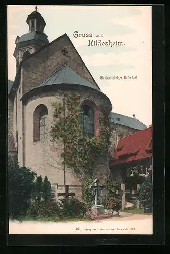AK Hildesheim, Tausendjähriger Rosenstock