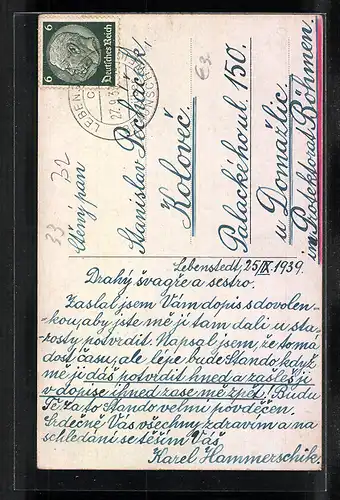 AK Braunschweig, Strassenpartie mit Flohwinkel