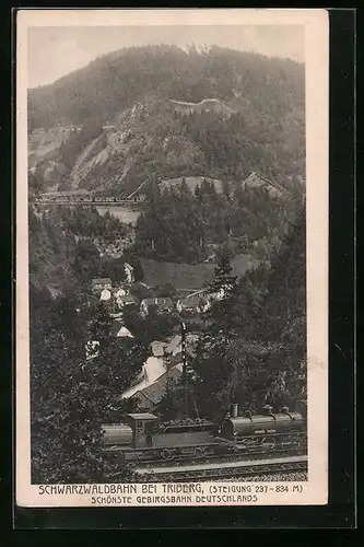 AK Triberg, Ortsansicht mit Schwarzwaldbahn