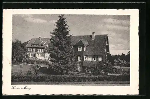 AK Zwieselberg, Gasthof und Pension Auerhahn