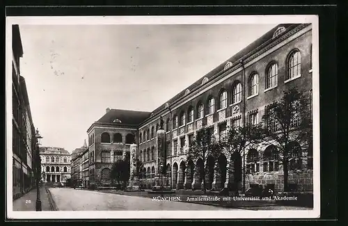 AK München, Amalienstrasse mit Universität und Akademie