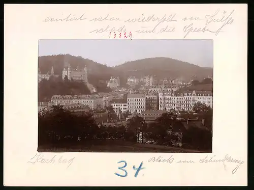 Fotografie Brück & Sohn Meissen, Ansicht Karlsbad, Blick auf die alten Wiesen mit Hotel Concordia, König von Württemberg