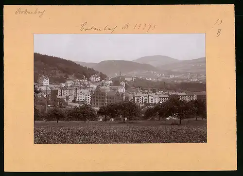 Fotografie Brück & Sohn Meissen, Ansicht Bodenbach / Elbe, Blick auf die Stadt mit Wohnhäusern