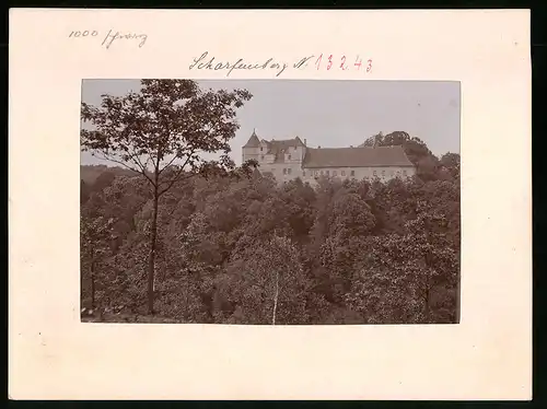 Fotografie Brück & Sohn Meissen, Ansicht Scharfenberg i. Sa., Blick vom Wald auf das Schloss