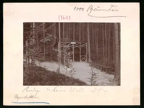 Fotografie Brück & Sohn Meissen, Ansicht Mühlhausen, Anlagen im Hain, Wald des Genesungsheimes