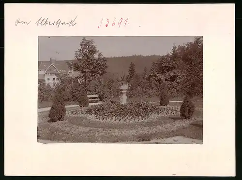 Fotografie Brück & Sohn Meissen, Ansicht Bad Elster, Partie im Albertpark mit Blick auf Köhlers Sanatorium