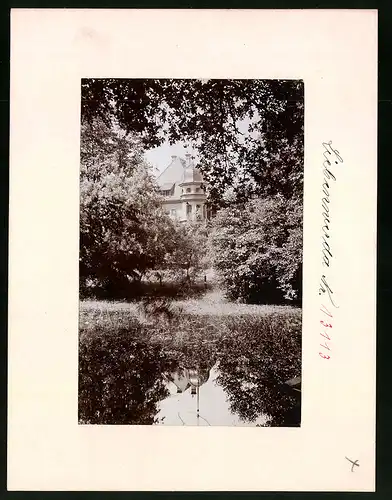 Fotografie Brück & Sohn Meissen, Ansicht Liebenwerda, Blick über den Teich auf die Landrätliche Villa