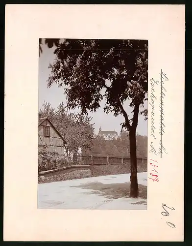 Fotografie Brück & Sohn Meissen, Ansicht Lichtenwalde, Partie im Ort mit Blick zum Schloss