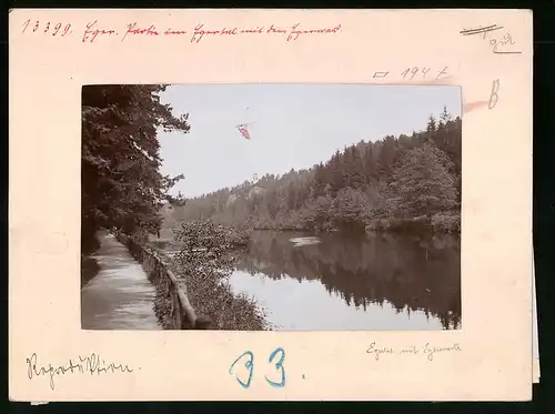 Fotografie Brück & Sohn Meissen, Ansicht Eger, Partie im Egertal mit dem Egerwald