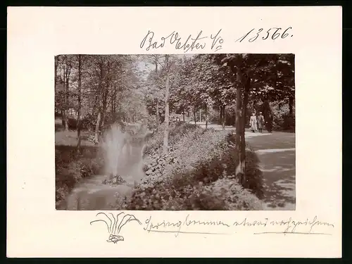 Fotografie Brück & Sohn Meissen, Ansicht Bad Elster, Partie an der Promenade im Kurpark mit Fontaine