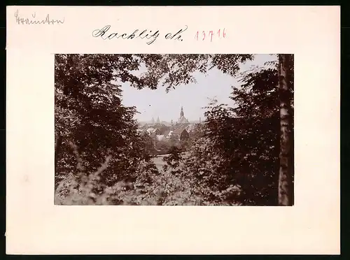 Fotografie Brück & Sohn Meissen, Ansicht Rochlitz, Blick aus dem Wald auf die Stadt mit Kirche