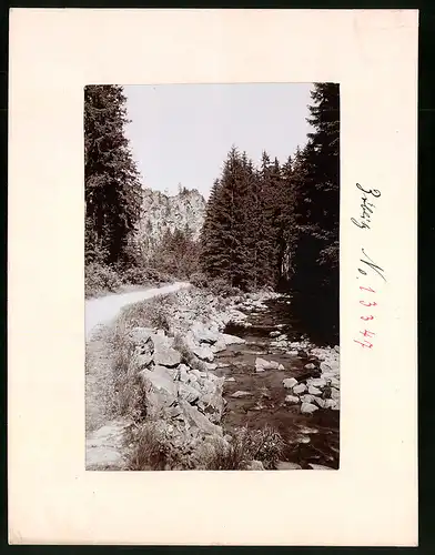 Fotografie Brück & Sohn Meissen, Ansicht Zöblitz, Feldweg und Partie im Schwarzwassertal