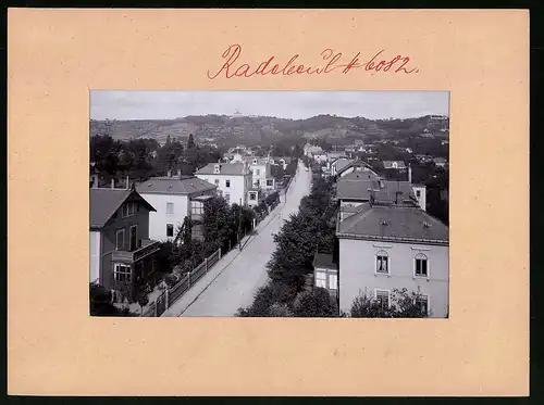 Fotografie Brück & Sohn Meissen, Ansicht Radebeul, Blick in die Rosenstrasse mit Villen