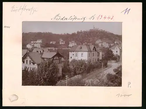 Fotografie Brück & Sohn Meissen, Ansicht Niederlössnitz, Blick auf die Villen Relly, Gustav Mohn, Vogelhaus, August